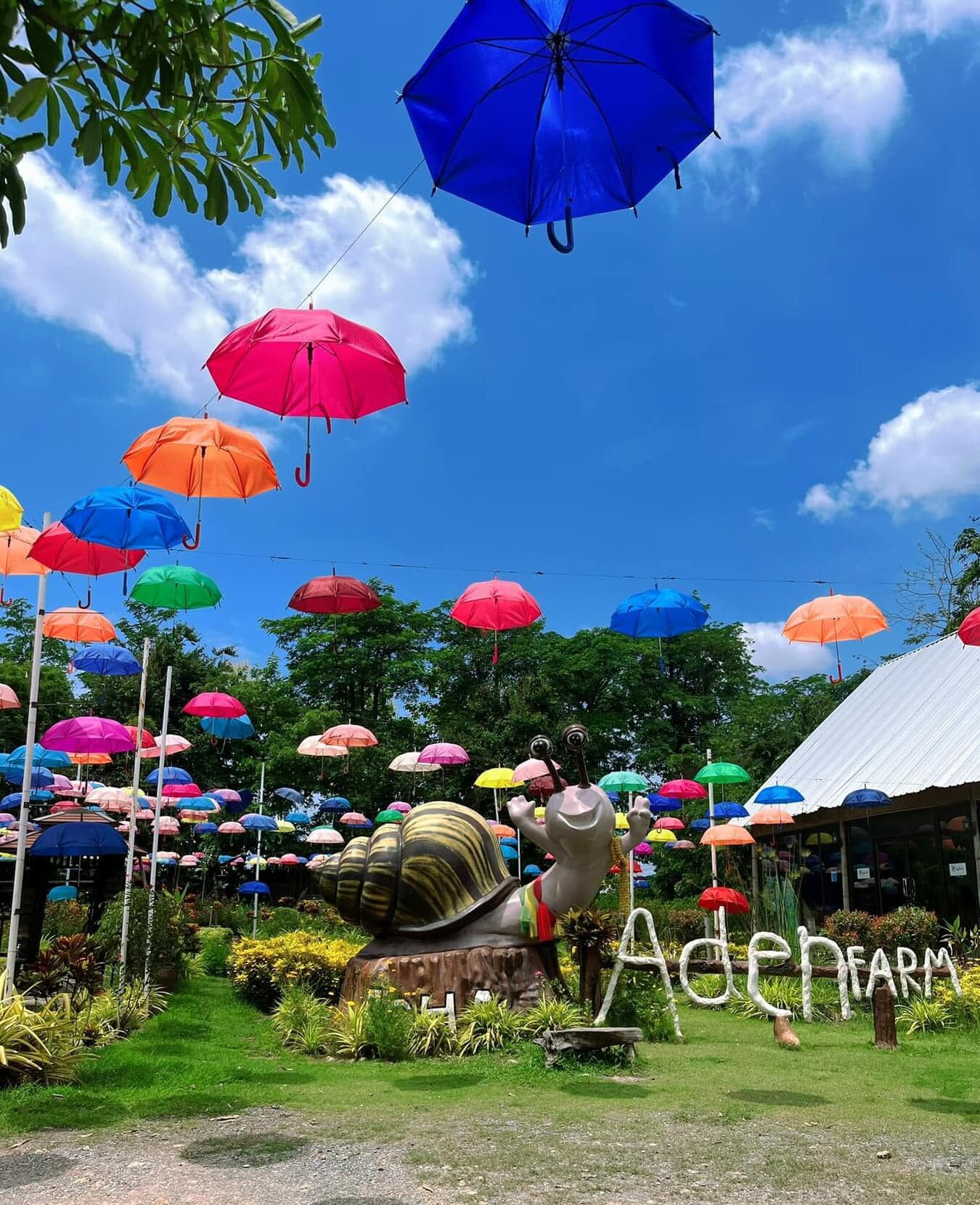 คาเฟ่นครนายก